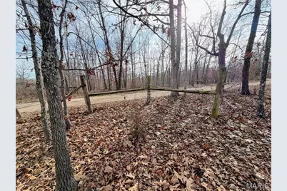 1620 County Road 5170, Salem, MO 65560 - Photo 67