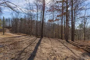 301 State Ridge, Annapolis, MO 63620 - Photo 25