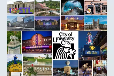 6810 Pershing Avenue, University City, MO 63130 - Photo 41