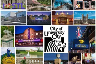 6810 Pershing Ave, University City, MO 63130 - Photo 41