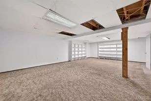 1148 Crested View Dr, Unincorporated, MO 63146 - Photo 53