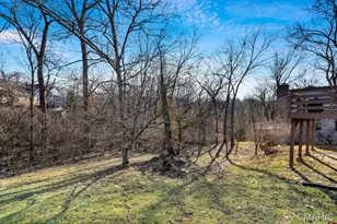 710 Briarfarm Ln, Kirkwood, MO 63122 - Photo 37