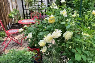 7615 Stanford Ave, Saint Louis, MO 63130 - Photo 9