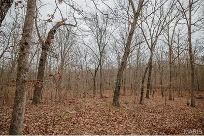 000 Forest Service Road 2284, Bourbon, MO 65441 - Photo 29