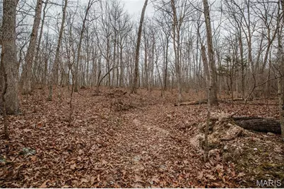 000 Forest Service Road 2284, Bourbon, MO 65441 - Photo 33