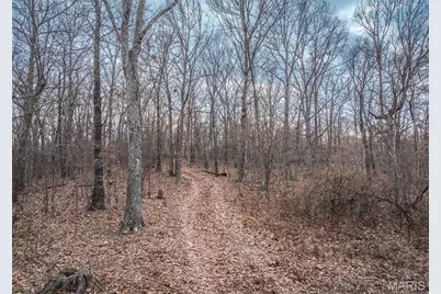 000 Forest Service Road 2284, Bourbon, MO 65441 - Photo 9