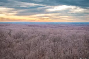 000 Forest Service Road 2284, Bourbon, MO 65441 - Photo 1