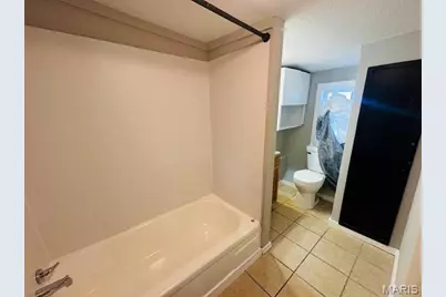 234 S Riverview, Poplar Bluff, MO 63901 - Photo 9