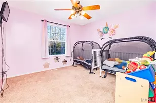 10249 Belew Creek Dr, Hillsboro, MO 63050 - Photo 17