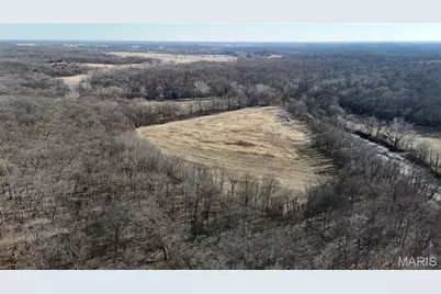 53+/- Acres Louisville Road, Bowling Green, MO 63334 - Photo 17