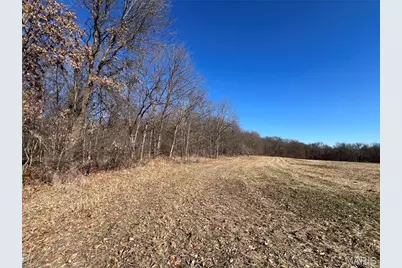 53+/- Acres Louisville Road, Bowling Green, MO 63334 - Photo 25