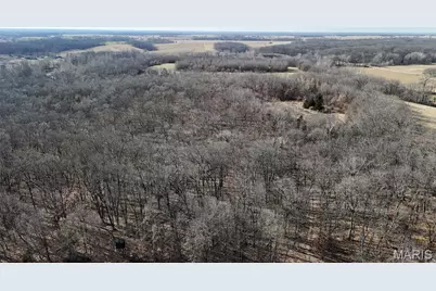 53+/- Acres Louisville Road, Bowling Green, MO 63334 - Photo 13