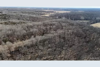 53+/- Acres Louisville Road, Bowling Green, MO 63334 - Photo 15