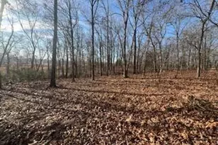 1698 Private Rd 2970, Mountain View, MO 65548 - Photo 25