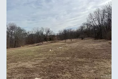 116 Bailey Rose Court, Troy, MO 63379 - Photo 39