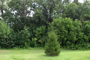 110 Fallon Villa Ct, O'Fallon, MO 63368 - Photo 15