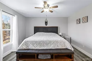 417 Rue Martel, Bonne Terre, MO 63628 - Photo 33