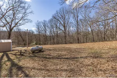 4453 Drury Rd, Bloomsdale, MO 63627 - Photo 41