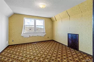 4453 Drury Rd, Bloomsdale, MO 63627 - Photo 23