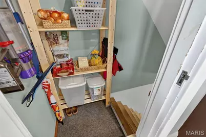 7443 Amherst Avenue, Saint Louis, MO 63130 - Photo 31