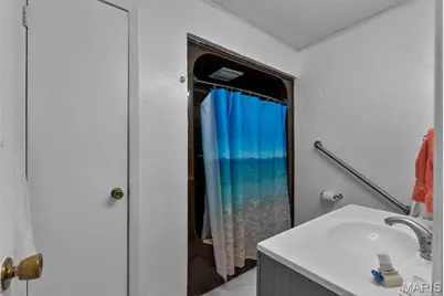 119 Depro, Sikeston, MO 63801 - Photo 25