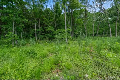12.5 +/- Ac Twin River, Eureka, MO 63025 - Photo 5