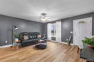 2163 E County Highway 450, Sikeston, MO 63801 - Photo 3