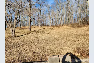 138 Mulberry Street, Greendale, MO 63944 - Photo 9