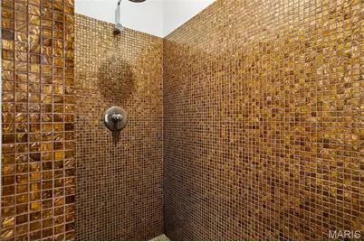 4100 Forest Park Avenue #304, Saint Louis, MO 63108 - Photo 31