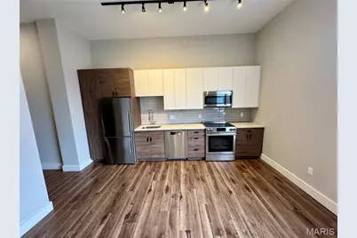 415 Debaliviere Avenue #207, Saint Louis, MO 63112 - Photo 23