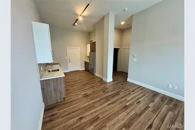 415 Debaliviere Avenue #211, Saint Louis, MO 63112 - Photo 33