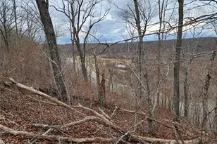 333 AA Hwy, Piedmont, MO 63957 - Photo 33