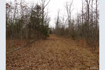 55 Cr 55, Bellerive, MO 63623 - Photo 15