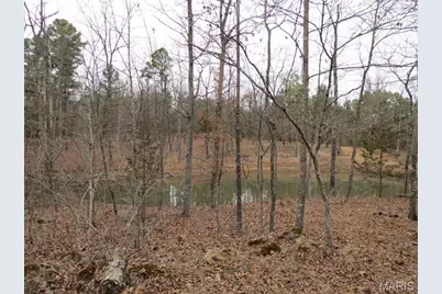 55 Cr 55, Bellerive, MO 63623 - Photo 3