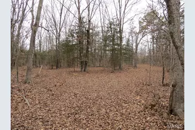 55 Cr 55, Bellerive, MO 63623 - Photo 13