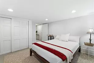 4236 Swan Ave, Saint Louis, MO 63110 - Photo 13