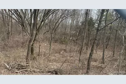 2555 Brush Court, Saint Louis, MO 63125 - Photo 1