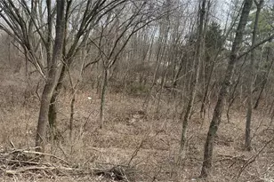 2555 Brush Ct, Saint Louis, MO 63125 - Photo 1