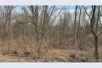 2555 Brush Court, Saint Louis, MO 63125 - Photo 5