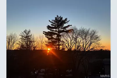 526 Sarah Lane #41, Creve Coeur, MO 63141 - Photo 21