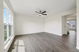706 Celebration Ct, Foristell, MO 63348 - Photo 19