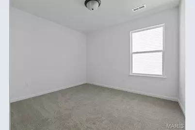 216 Noser Drive, Florissant, MO 63031 - Photo 17
