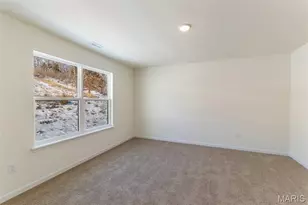 414 Winding Bluffs Ct, Fenton, MO 63026 - Photo 19