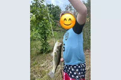 7030 Wayne 341, Piedmont, MO 63957 - Photo 67