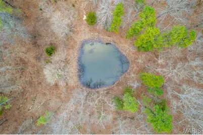 7030 Wayne 341, Piedmont, MO 63957 - Photo 13