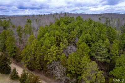 7030 Wayne 341, Piedmont, MO 63957 - Photo 27