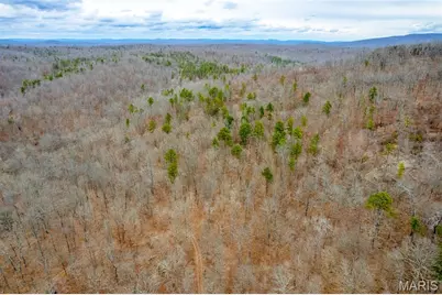 7030 Wayne 341, Piedmont, MO 63957 - Photo 15