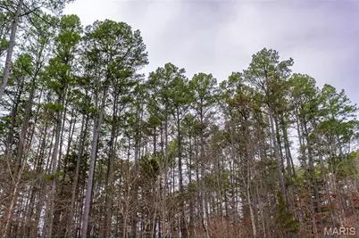 7030 Wayne 341, Piedmont, MO 63957 - Photo 53