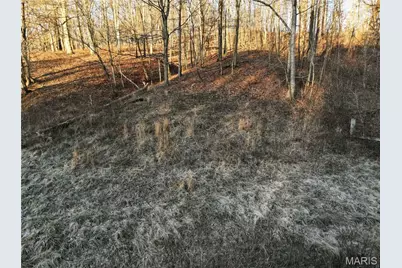 Off Pcr 535 County Road 535, Jackson, MO 63755 - Photo 19