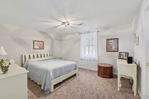 49 Monte Rosa Dr, De Soto, MO 63020 - Photo 7